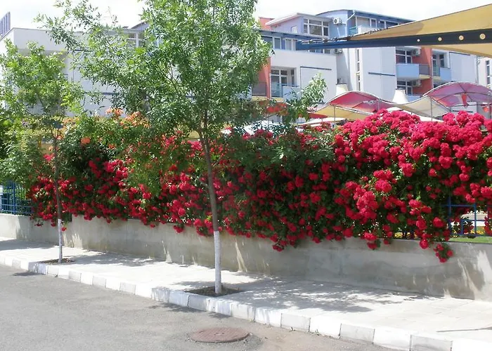 艾丽特3号综合公寓楼公寓之音酒店 *